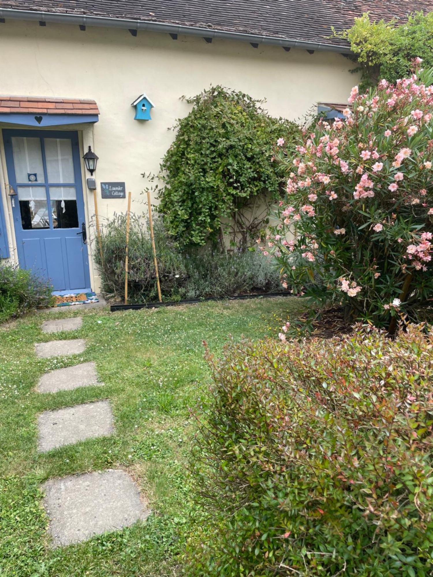 Lavender Cottage Chezelles  Exterior foto